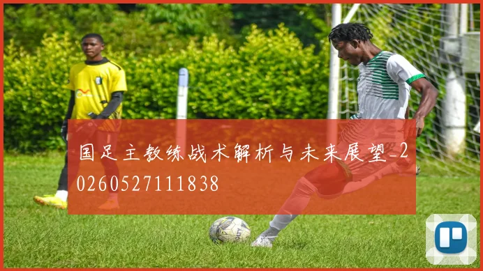 国足主教练战术解析与未来展望_20260527111838